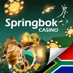 Springbok casino